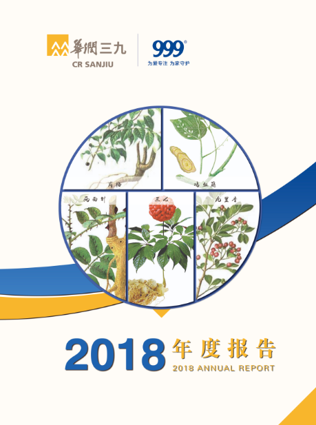 尊龙时凯：2018年年度报告